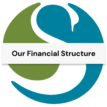Our Financial Structure